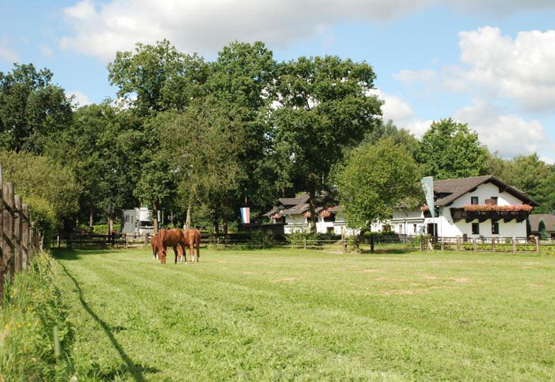 Landhotel Linden Am Venekotensee Niederkrüchten Esterno foto