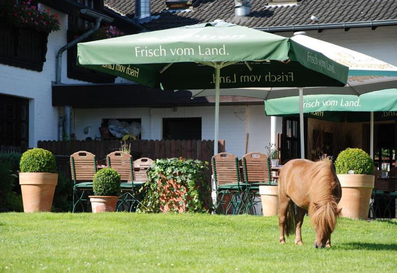 Landhotel Linden Am Venekotensee Niederkrüchten Esterno foto